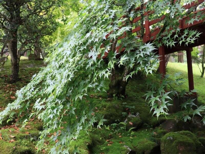 Yumoto Ueyama Ryokan Himeji Esterno foto